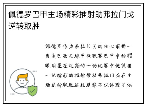 佩德罗巴甲主场精彩推射助弗拉门戈逆转取胜 佩德罗巴甲主场精彩推射助弗拉门戈逆转取胜